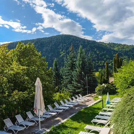 Hotel Balneocomplex Kamena 3*
